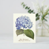 Elegante  Botanische Blauwe Hydrangea Bloem Briefkaart (Staand voorkant)
