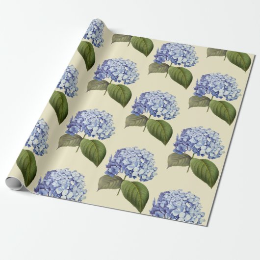 Elegante  Botanische Blauwe Hydrangea Bloem Cadeaupapier (Uitgerold)