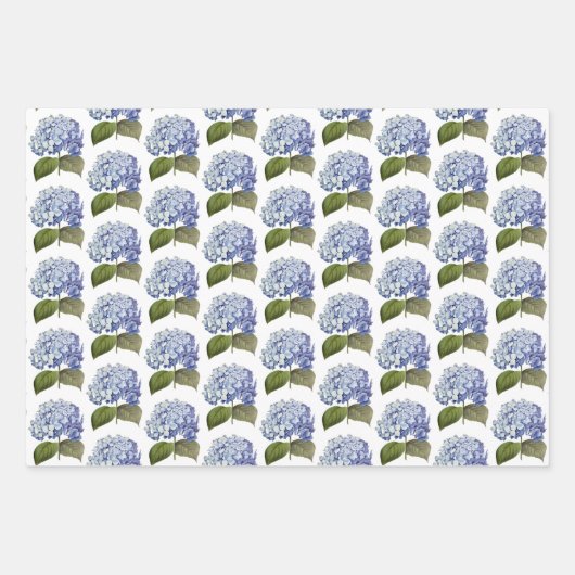 Elegante Botanische Blauwe Hydrangea Bloem Inpakpapier Vel (Voorkant 2)