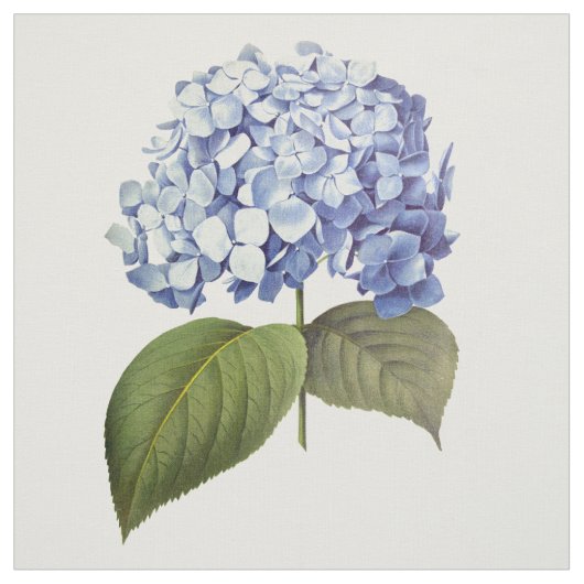 Elegante  Botanische Blauwe Hydrangea Bloem Stof (Swatch)