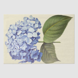 Elegante  Botanische Blauwe Hydrangea Bloem Tissuepapier