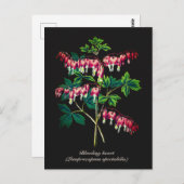 Elegante  Botanische Bloedende Hartbloem Briefkaart (Voorkant / Achterkant)