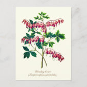 Elegante  Botanische Bloedende Hartbloem Briefkaart (Voorkant)