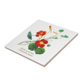 Elegante  Botanische Bloemen Nasturtium Tegeltje (Zijkant)