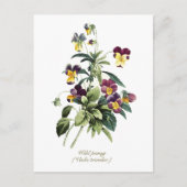 Elegante Botanische Bloemen Pansy Briefkaart (Voorkant)
