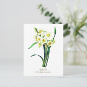 Elegante  Botanische Bloemen Witte Daffodils Briefkaart (Staand voorkant)