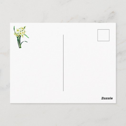 Elegante  Botanische Bloemen Witte Daffodils Briefkaart (Achterkant)