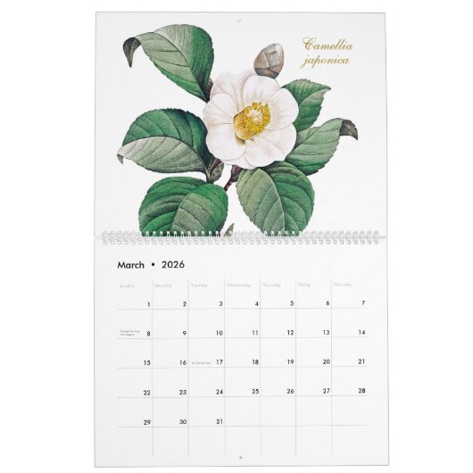 Elegante  botanische bloemillustraties kalender (Mar 2026)