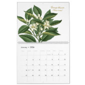 Elegante  botanische bloemillustraties kalender (Jan 2026)