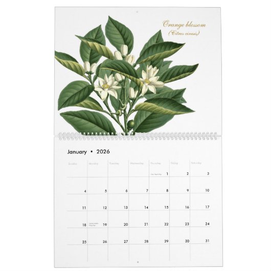 Elegante  botanische bloemillustraties kalender (Jan 2026)