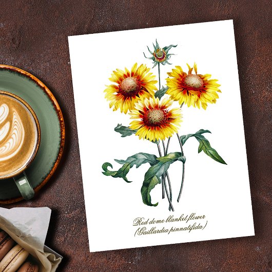 Elegante Botanische Deken Bloem Briefkaart