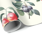 Elegante Botanische  Fruit op Wit Cadeaupapier (Rol Hoek)