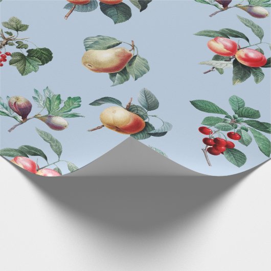 Elegante Botanische  Fruit Soft Blue Cadeaupapier (Hoek)