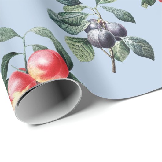Elegante Botanische  Fruit Soft Blue Cadeaupapier (Rol Hoek)