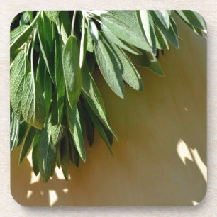 Elegante botanische groene kruiden bladeren salie bier onderzetter