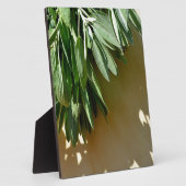 Elegante botanische groene kruiden bladeren salie fotoplaat (Zijkant)