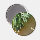 Elegante botanische groene kruiden bladeren salie magneet (Voorkant / Achterkant)