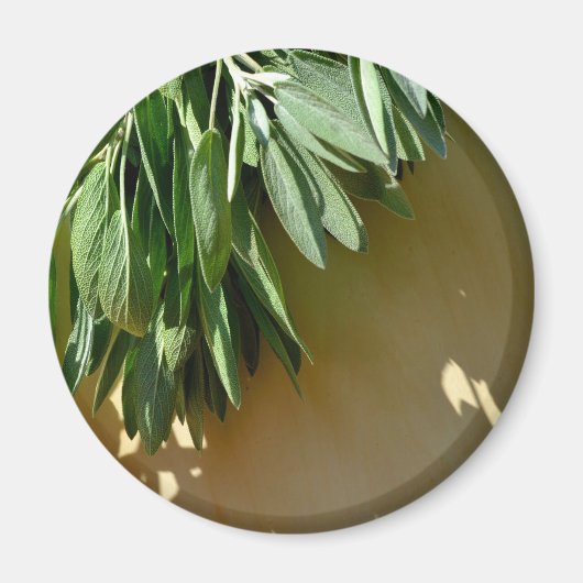 Elegante botanische groene kruiden bladeren salie magneet (Voorkant)