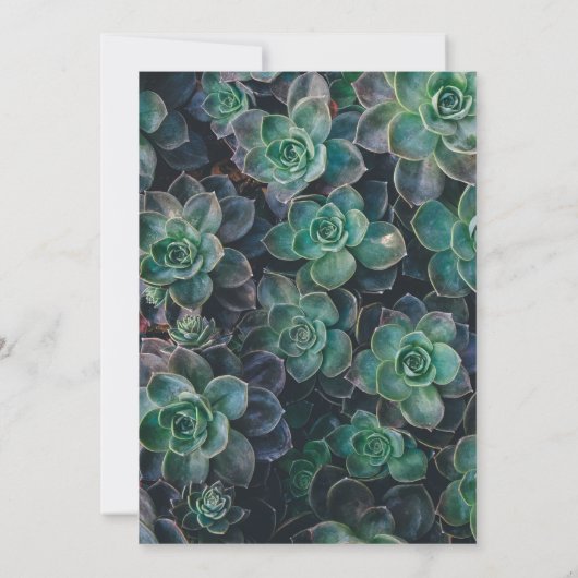 Elegante Botanische Groene Succulente Bloemenbruil Kaart (Achterkant)