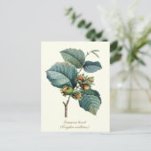 Elegante botanische hazelnootvrucht briefkaart (Staand voorkant)