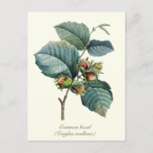 Elegante botanische  hazelnootvrucht briefkaart (Voorkant)