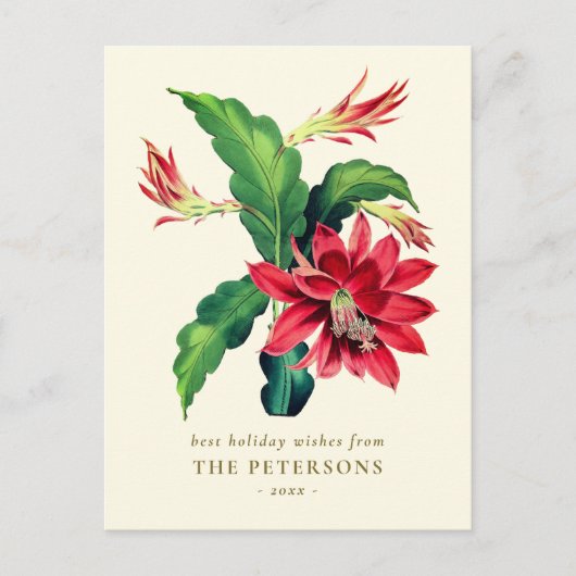 Elegante  Botanische Kerst Cactus Flower Briefkaart (Voorkant)