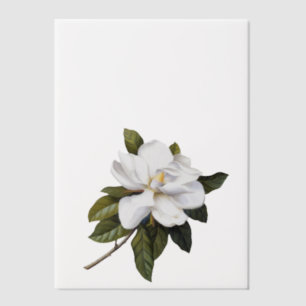 Elegante Botanische Magnolia Hoesje Blad Vellum Uitnodigingen