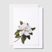 Elegante Botanische Magnolia Hoesje Blad Vellum Uitnodigingen (Offset)