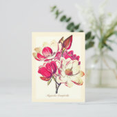 Elegante Botanische Magnolia Roze Bloemen Briefkaart (Staand voorkant)