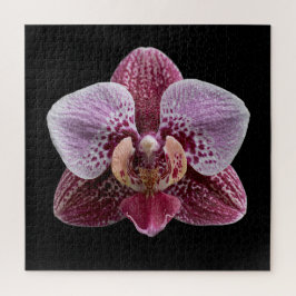 Elegante Botanische Orchideeën Collectie Poster Legpuzzel