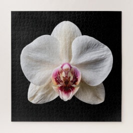 Elegante Botanische Orchideeën Collectie Poster Legpuzzel