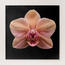Elegante Botanische Orchideeën Collectie Poster