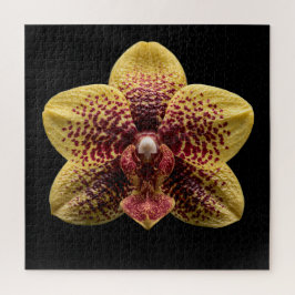 Elegante Botanische Orchideeën Collectie Poster Legpuzzel
