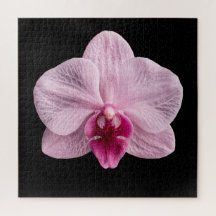 Elegante Botanische Orchideeën Collectie Poster