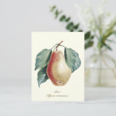 Elegante botanische  perenvrucht briefkaart (Staand voorkant)