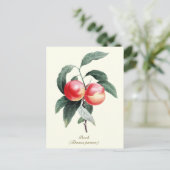 Elegante botanische perzikvruchten briefkaart (Staand voorkant)