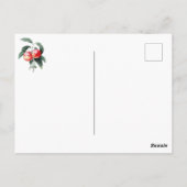 Elegante botanische perzikvruchten briefkaart (Achterkant)
