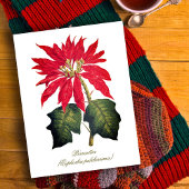Elegante  Botanische Poinsettia Flower Briefkaart