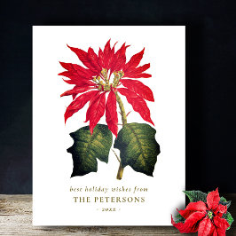 Elegante  Botanische Poinsettia Flower Briefkaart