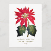 Elegante Botanische Poinsettia Flower Briefkaart (Voorkant)