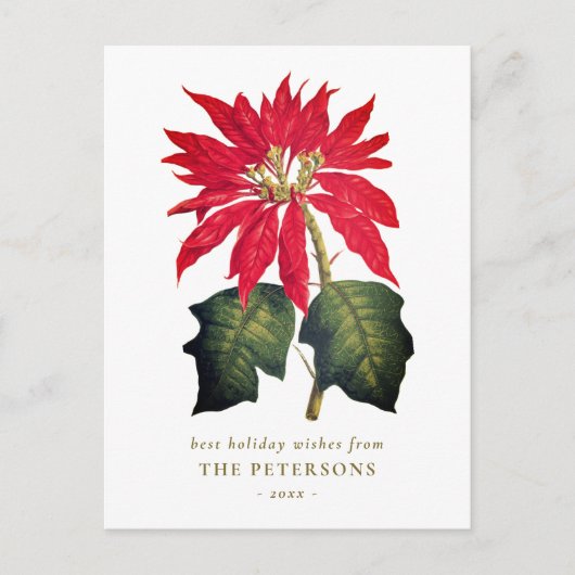 Elegante Botanische Poinsettia Flower Briefkaart (Voorkant)