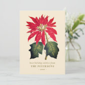 Elegante  Botanische Poinsettia Flower Feestdagenkaart (Staand voorkant)