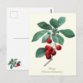 Elegante botanische  Sweet Red Cherry Fruit Briefkaart (Voorkant / Achterkant)