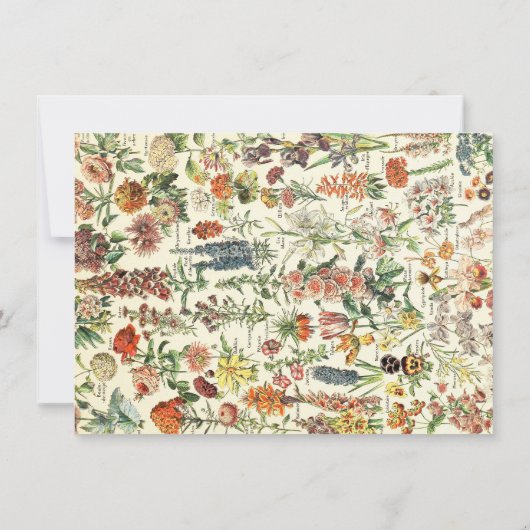 Elegante Botanische Wildbloem Floral gepersonalise Notitiekaartje (Achterkant)