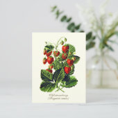 Elegante botanische  wilde aardbeienvruchten briefkaart (Staand voorkant)