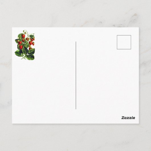 Elegante botanische  wilde aardbeienvruchten briefkaart (Achterkant)