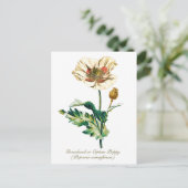 Elegante  Botanische Witte Opium Poppy Flower Briefkaart (Staand voorkant)