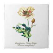 Elegante Botanische Witte Opium Poppy Flower Tegeltje (Voorkant)