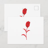 Elegante bruiloft Essentials | Zomer & het hele ja Briefkaart (Voorkant / Achterkant)