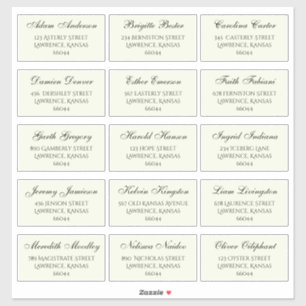 Elegante Bruiloft Gast Individuele Namen en Adres Sticker